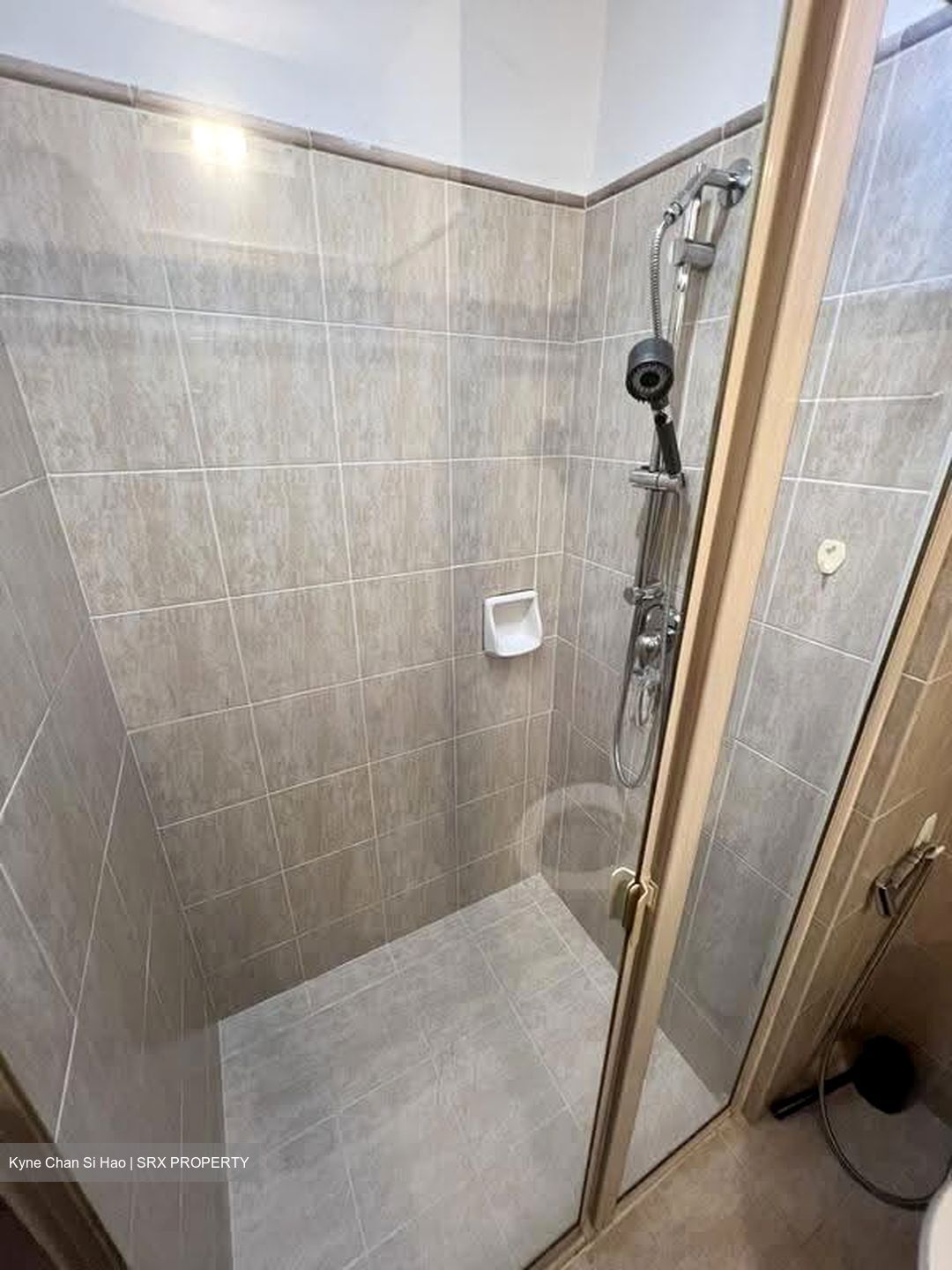 Tanglin View (D3), Condominium #628773711